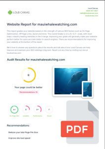 SEO Report Front Page Example - Click to download full PDF